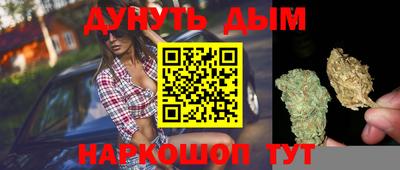 прущие грибы Мариинск