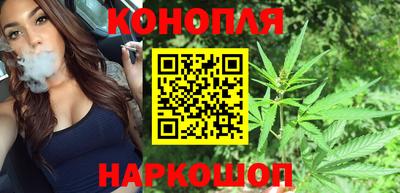 прущие грибы Мариинск